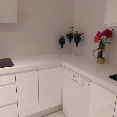 Apartamento Acogedor Piso En El Centro